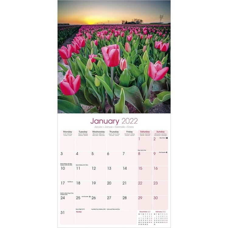 Detail Witcher Tulips Nomer 38