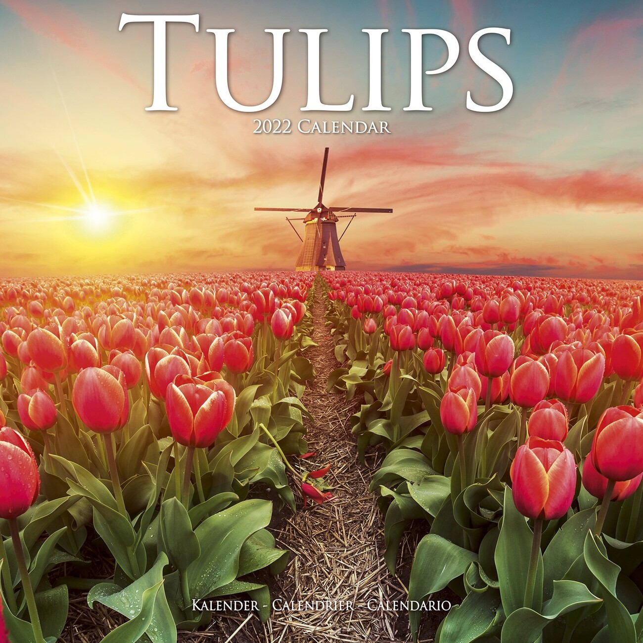 Detail Witcher Tulips Nomer 44