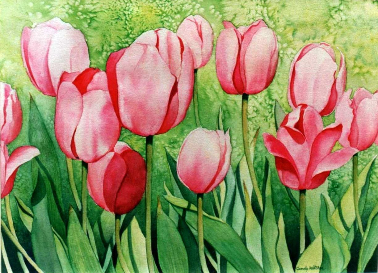 Detail Witcher Tulips Nomer 5