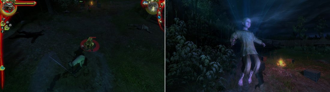 Detail Witcher Tulips Nomer 48