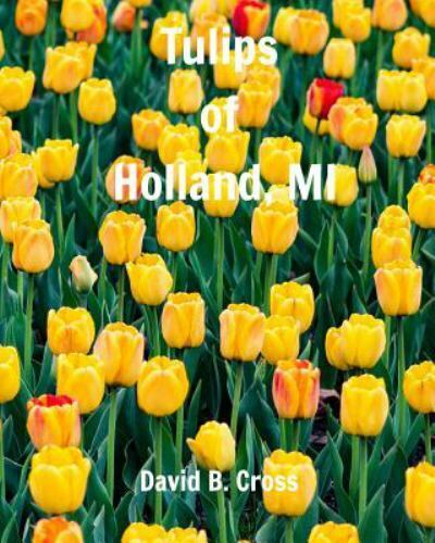 Detail Witcher Tulips Nomer 49
