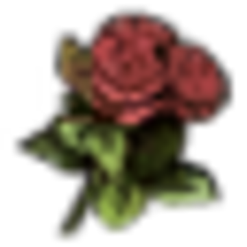 Detail Witcher Tulips Nomer 8