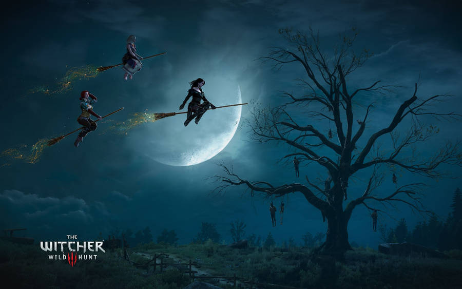 Detail Witcher Wallpaper Nomer 37