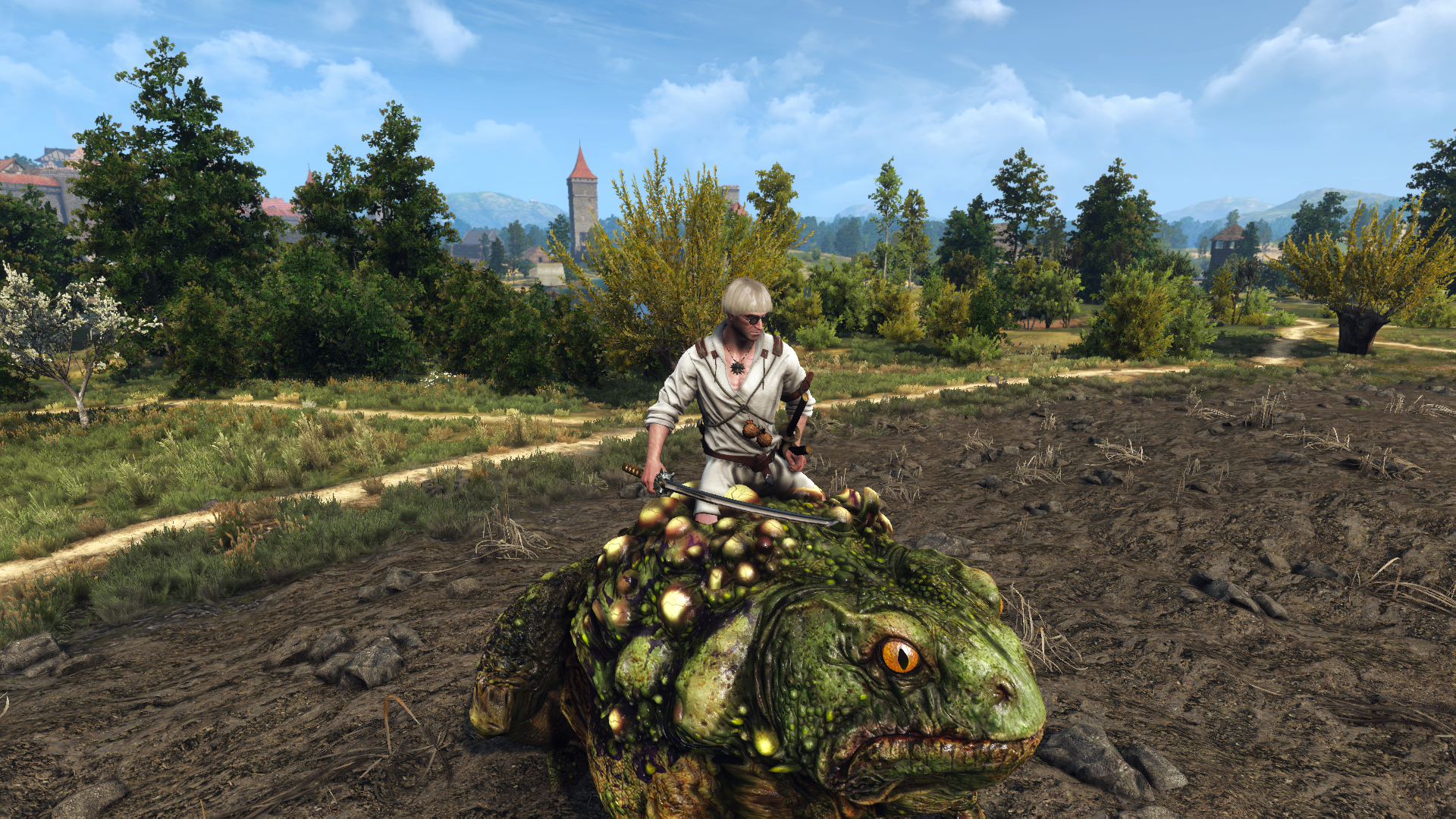Detail Witcher White Gull Nomer 17
