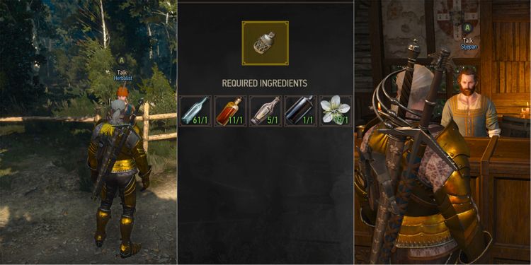 Detail Witcher White Gull Nomer 3