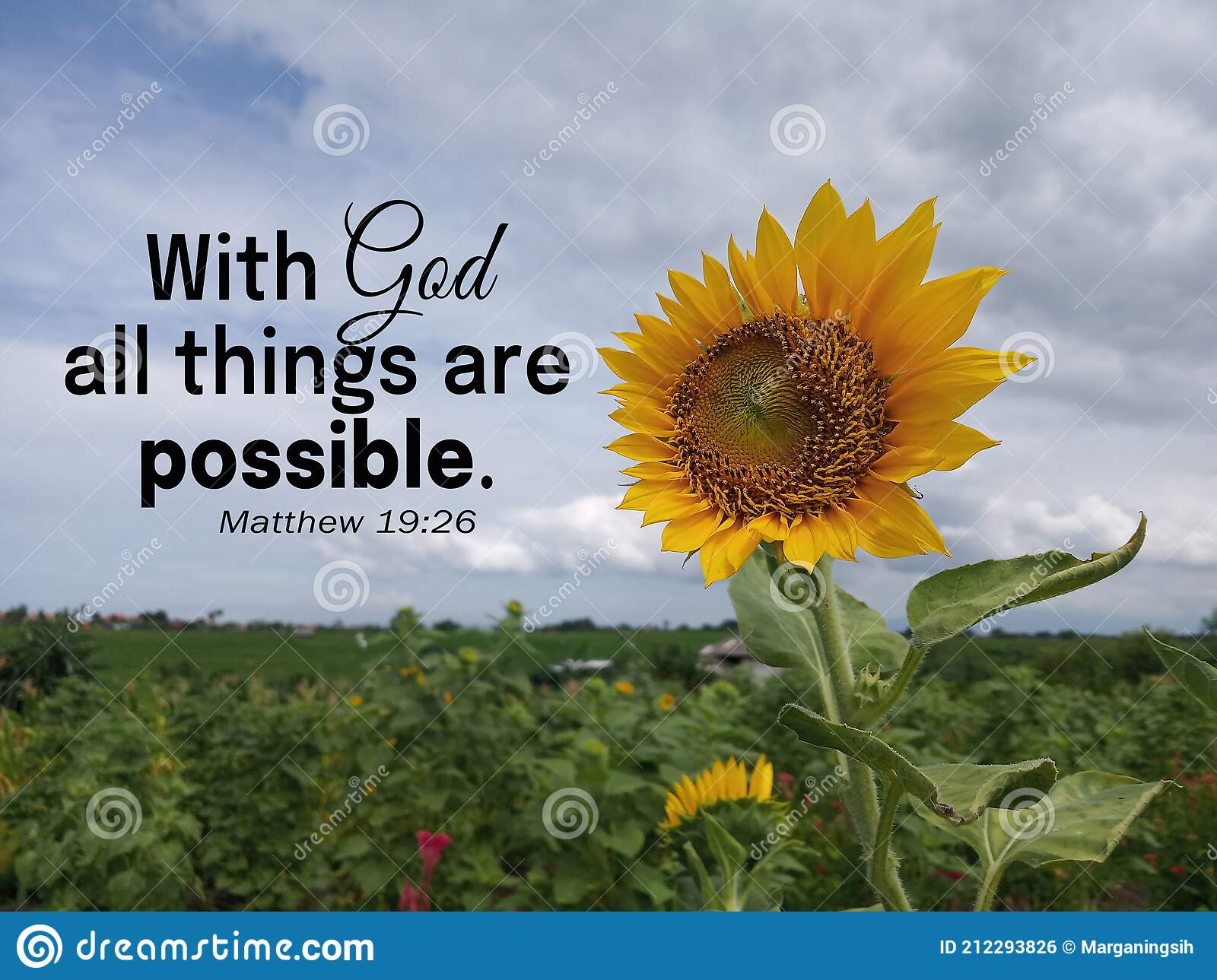 Detail With God All Things Are Possible Quotes Nomer 27