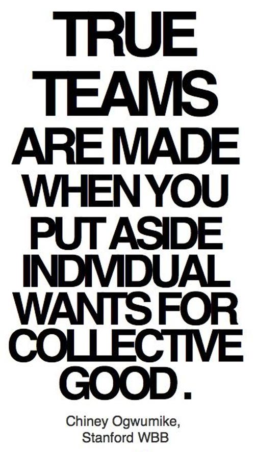 Detail Without Teamwork Quotes Nomer 24