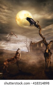 Detail Wolf And Raven Wallpaper Nomer 16