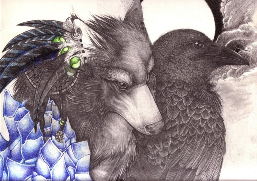 Detail Wolf And Raven Wallpaper Nomer 32