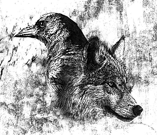 Detail Wolf And Raven Wallpaper Nomer 35