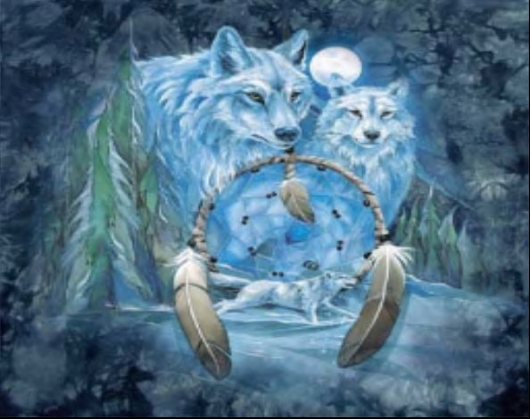 Detail Wolf Dreamcatcher Wallpaper Nomer 38