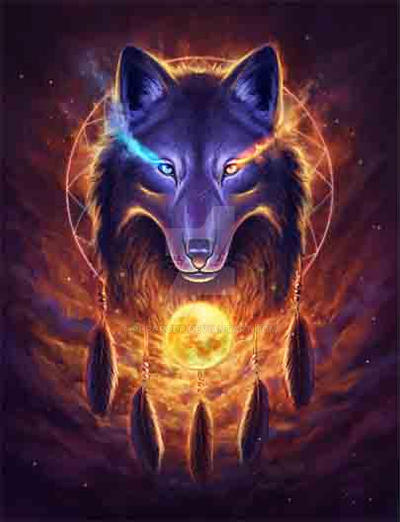 Detail Wolf Dreamcatcher Wallpaper Nomer 39