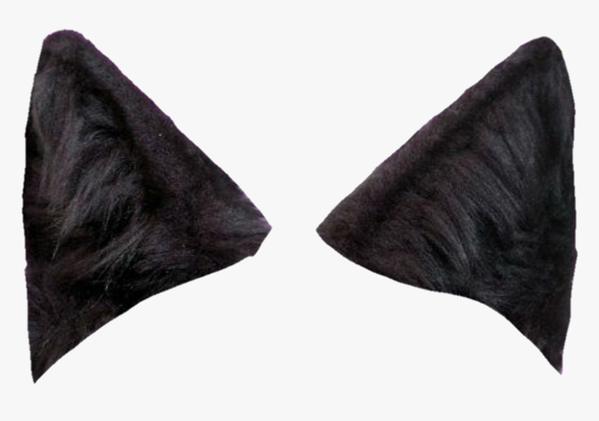 Detail Wolf Ears Clipart Nomer 2