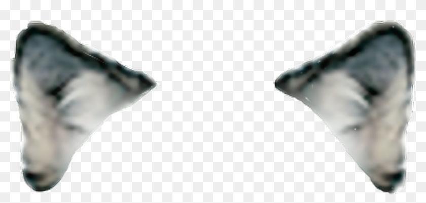 Detail Wolf Ears Clipart Nomer 12