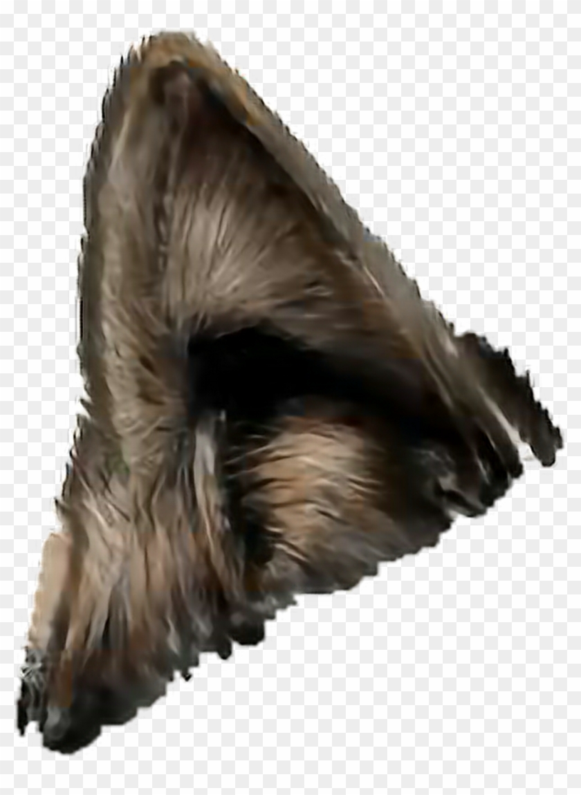 Detail Wolf Ears Clipart Nomer 3