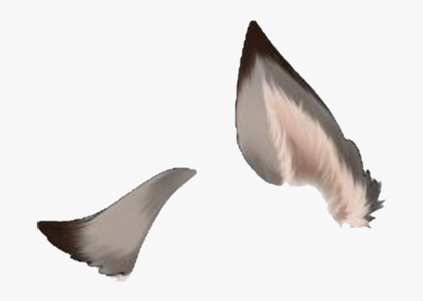 Detail Wolf Ears Clipart Nomer 6