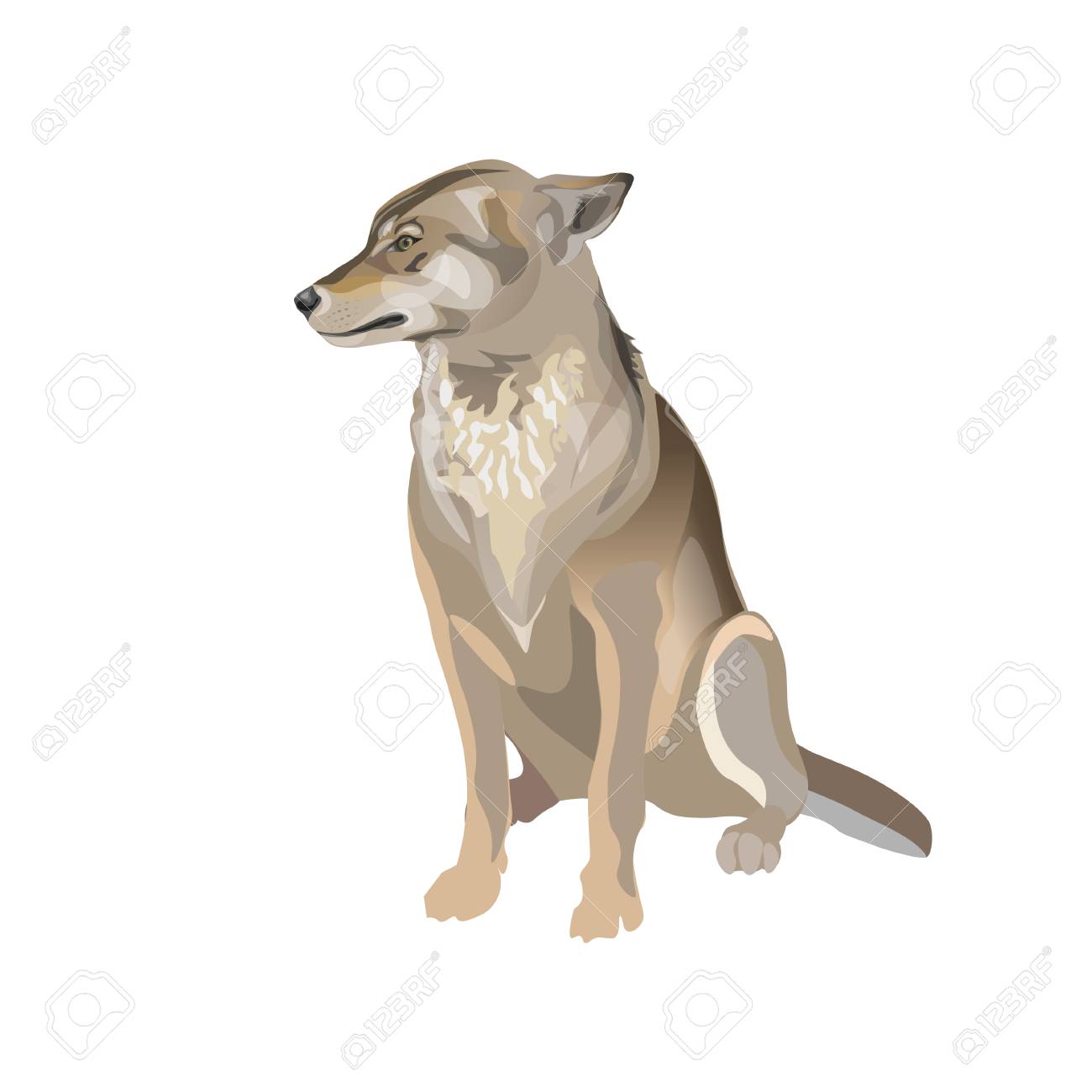Detail Wolf Ears Clipart Nomer 46
