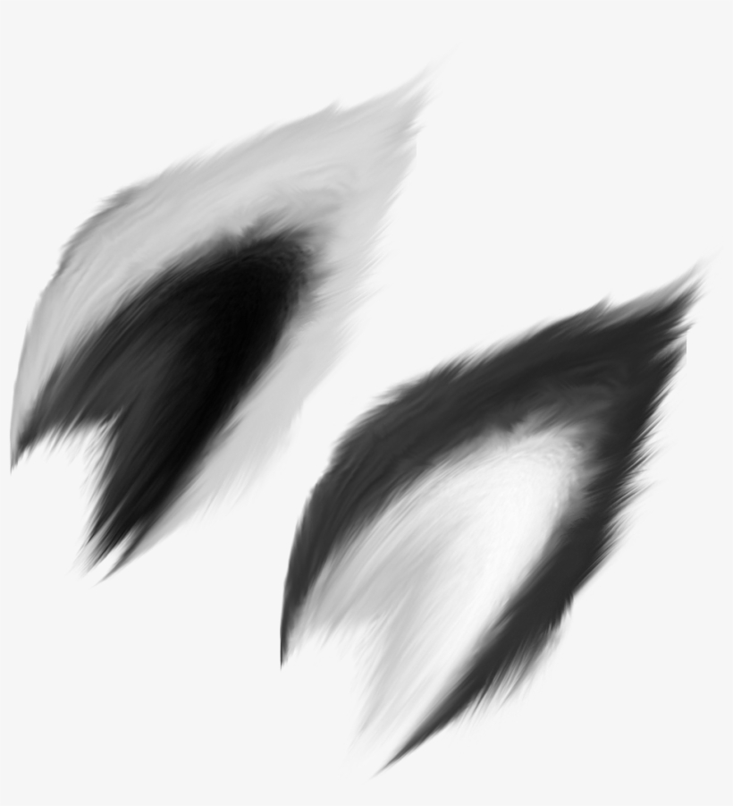 Detail Wolf Ears Clipart Nomer 8