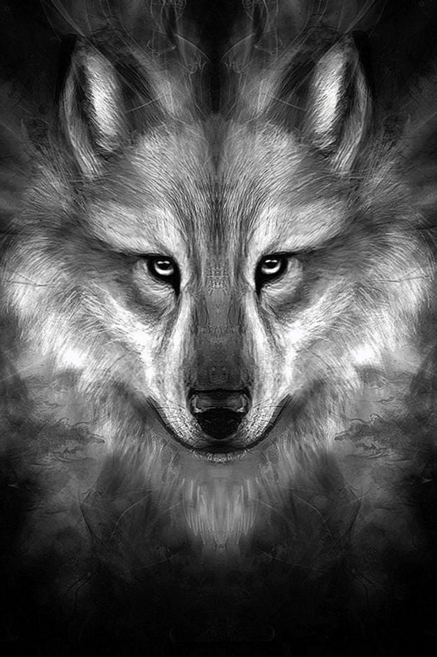 Detail Wolf Face Hd Nomer 11