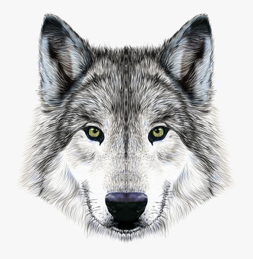 Detail Wolf Face Hd Nomer 18