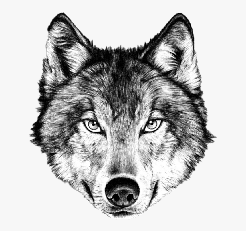 Detail Wolf Face Hd Nomer 25