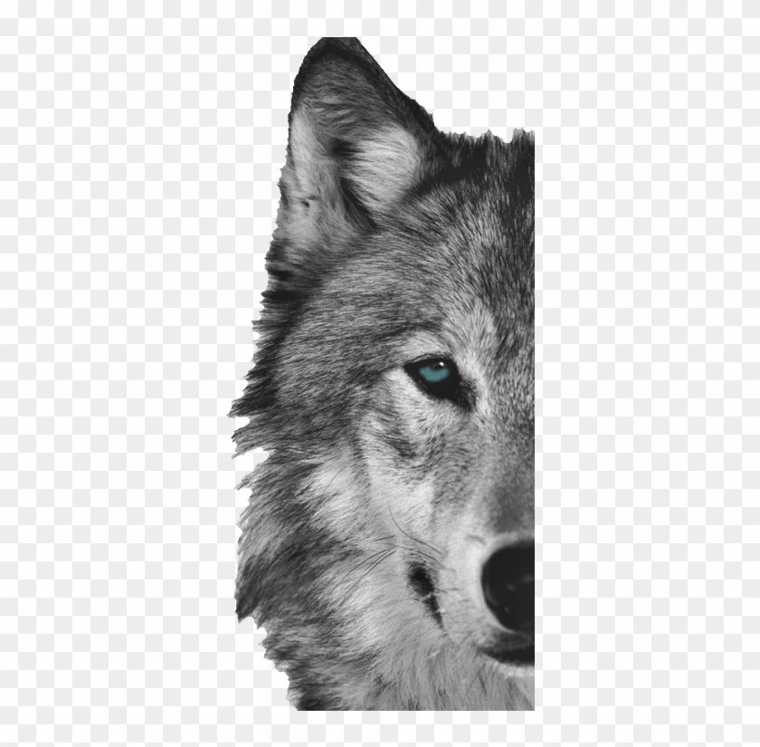 Detail Wolf Face Hd Nomer 30