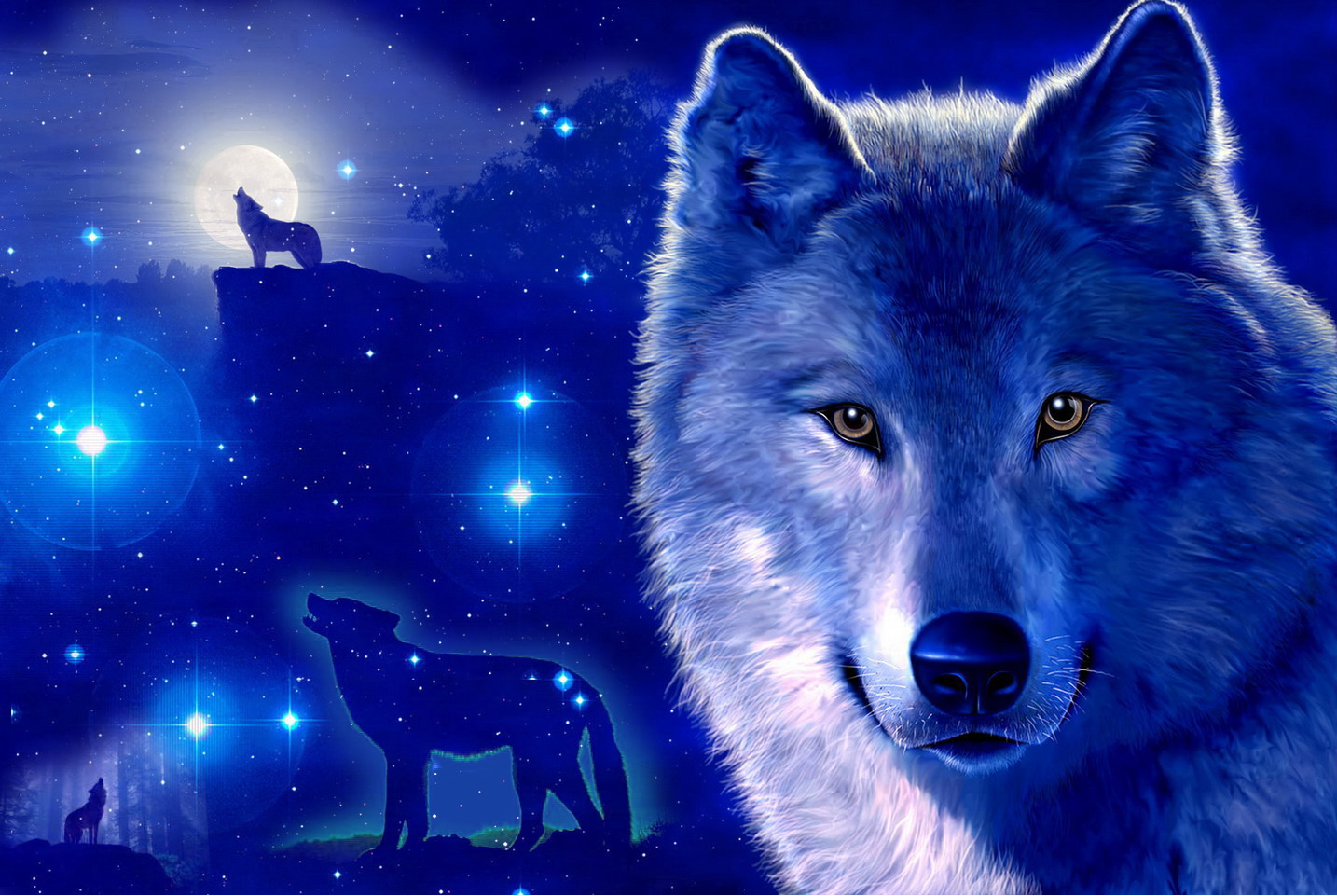 Detail Wolf Face Hd Nomer 40