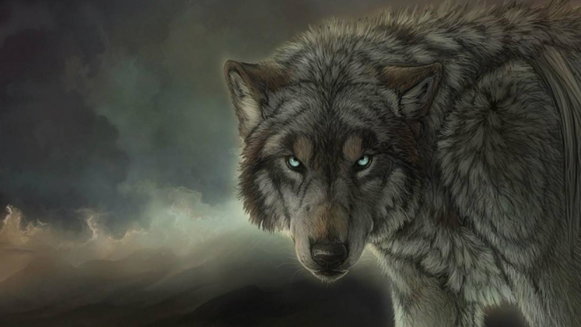 Detail Wolf Hd Wallpaper Nomer 25