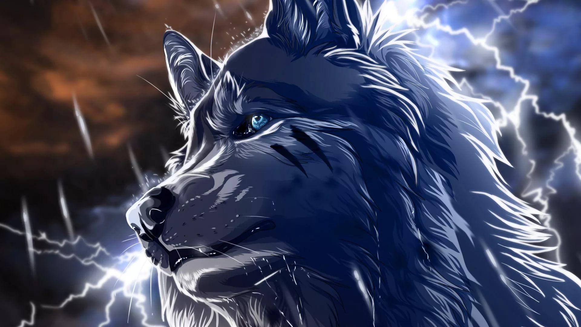 Detail Wolf Hd Wallpaper Nomer 35