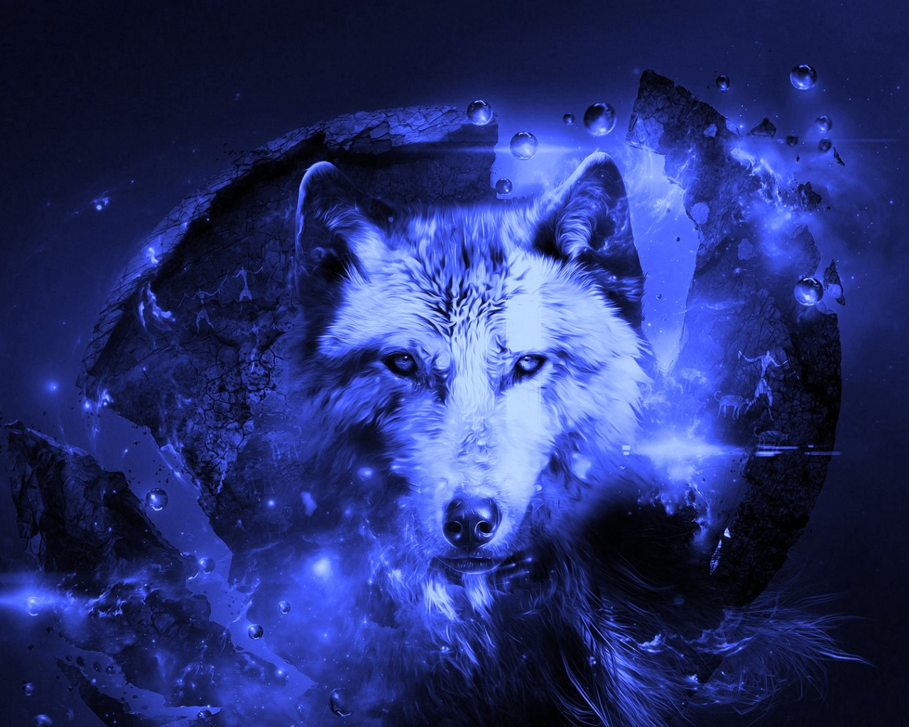 Detail Wolf High Resolution Nomer 17