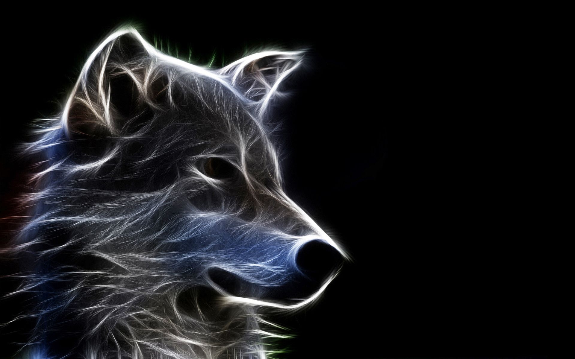 Detail Wolf High Resolution Nomer 32