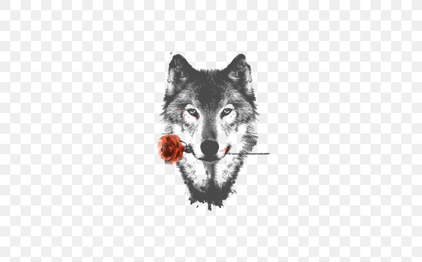 Detail Wolf High Resolution Nomer 34