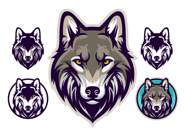 Detail Wolf Image Nomer 24