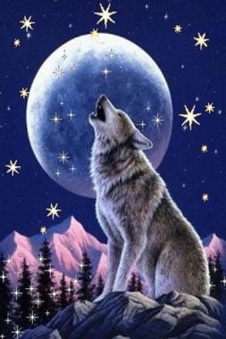 Detail Wolf Live Wallpaper Nomer 48