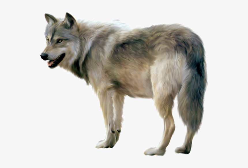 Detail Wolf No Background Nomer 11