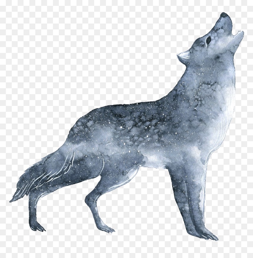 Detail Wolf No Background Nomer 36