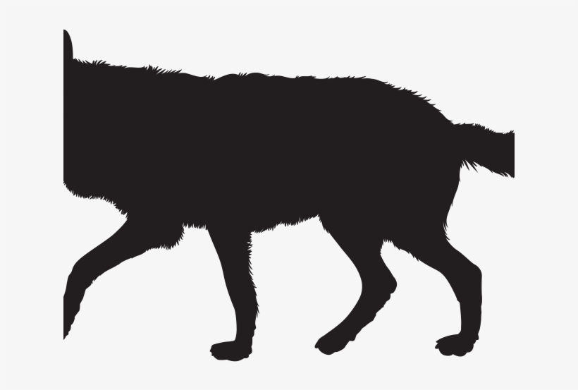 Detail Wolf No Background Nomer 40