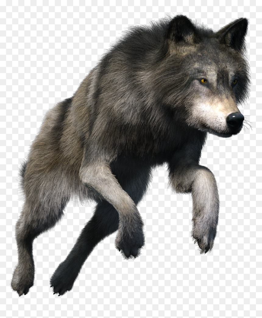Detail Wolf No Background Nomer 46