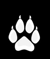 Detail Wolf Paw Png Nomer 19