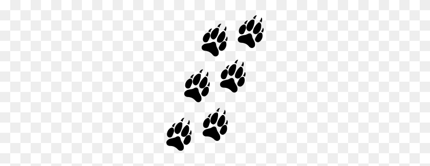 Detail Wolf Paw Png Nomer 39