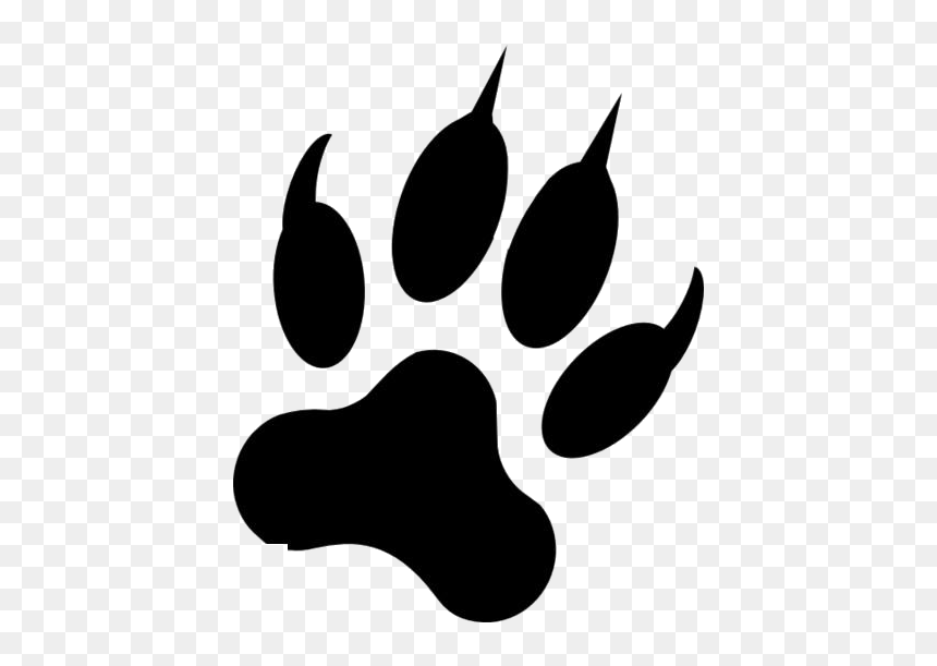 Detail Wolf Paw Png Nomer 8