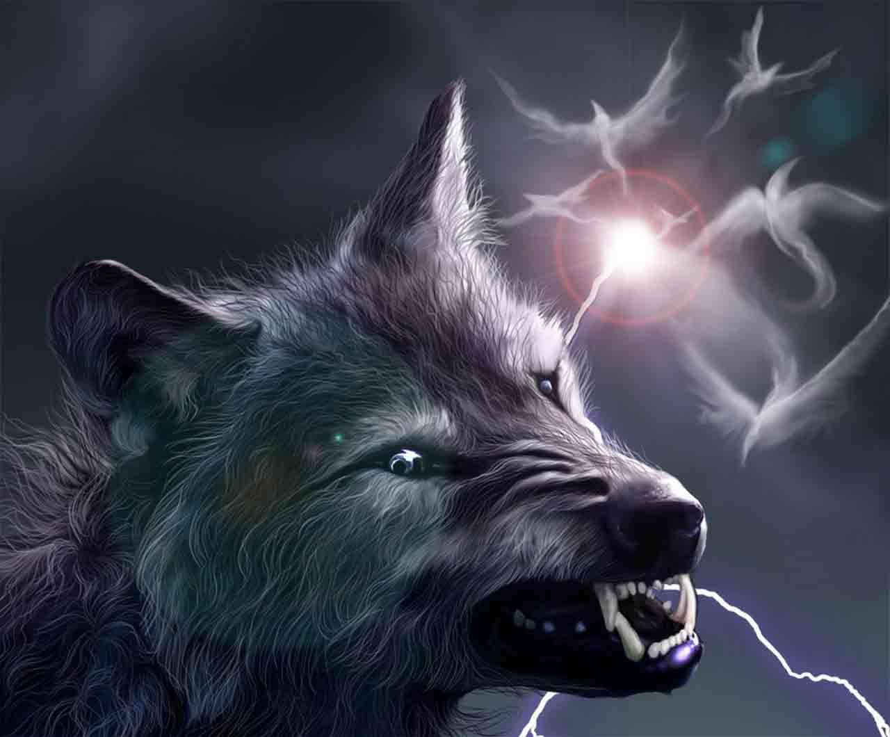 Detail Wolf Photos Free Nomer 19