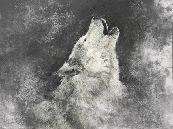 Detail Wolf Photos Free Nomer 56