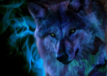 Detail Wolf Pictures Free Download Nomer 35