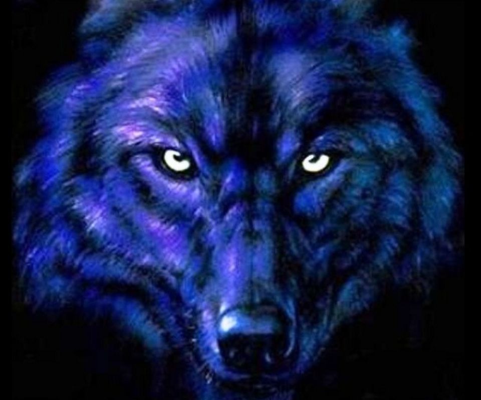 Detail Wolf Pictures Free Download Nomer 10