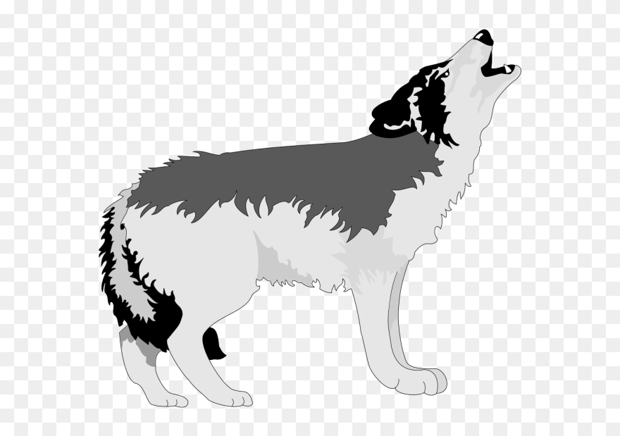 Detail Wolf Png Clipart Nomer 8
