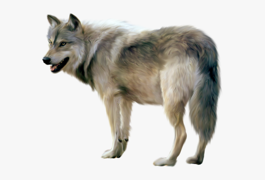 Detail Wolf Png Image Nomer 3