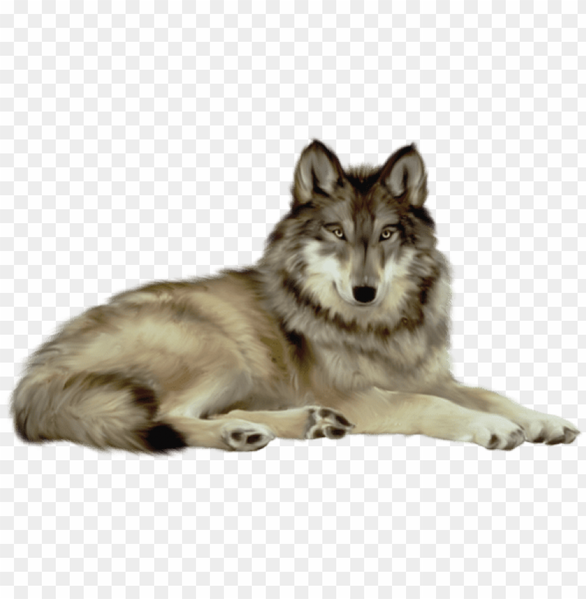 Detail Wolf Png Transparent Nomer 13