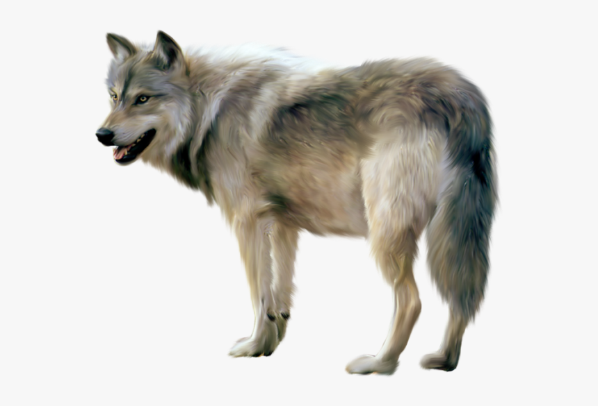 Detail Wolf Png Transparent Nomer 2