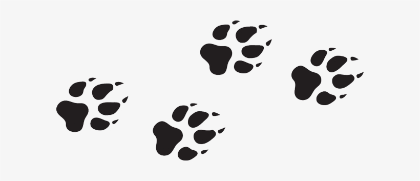 Wolf Print Png - KibrisPDR